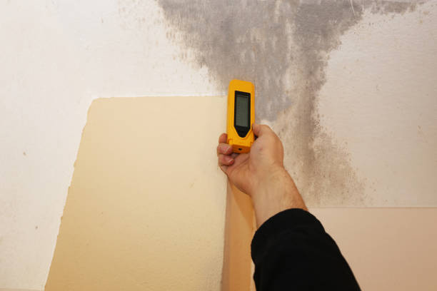 Best Indoor Air Quality Assessment  in Lewiston, UT