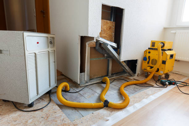 Best Residential Mold Inspection & Testing  in Lewiston, UT