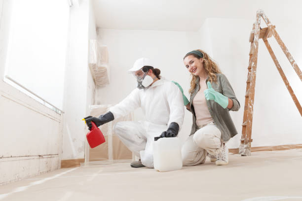 Best Mold Remediation for Healthcare Facilities  in Lewiston, UT